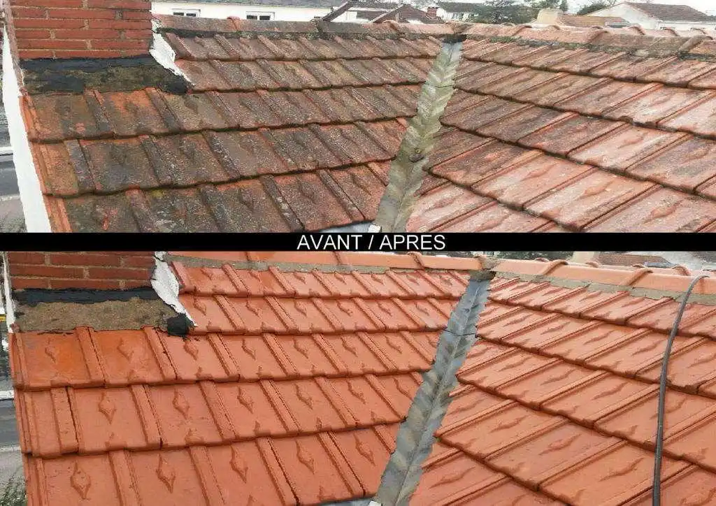 Rendu du nettoyage d'une toiture